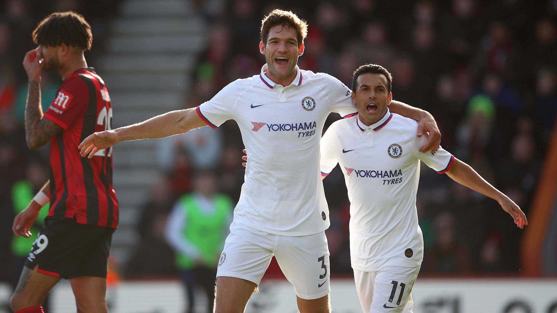 新疆的胜利 新疆的胜利